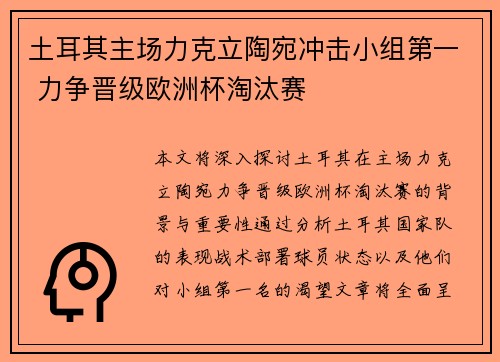 土耳其主场力克立陶宛冲击小组第一 力争晋级欧洲杯淘汰赛